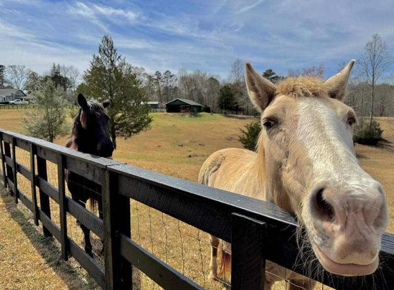 Farm Living!