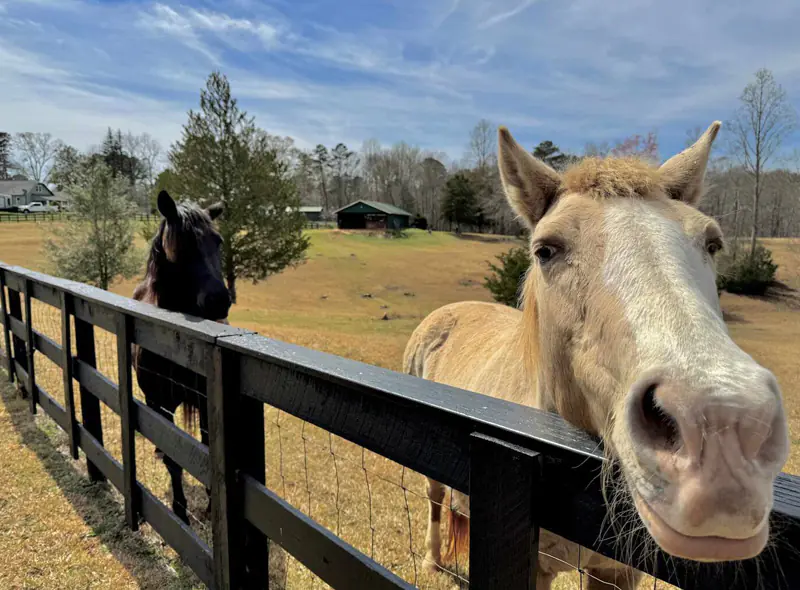 Farm Living! Farm Living!